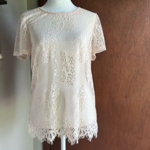 Sheer Lace Blouse | Small